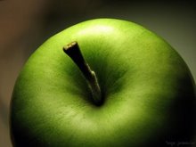  http://originality.jeeran.com/o/index.html